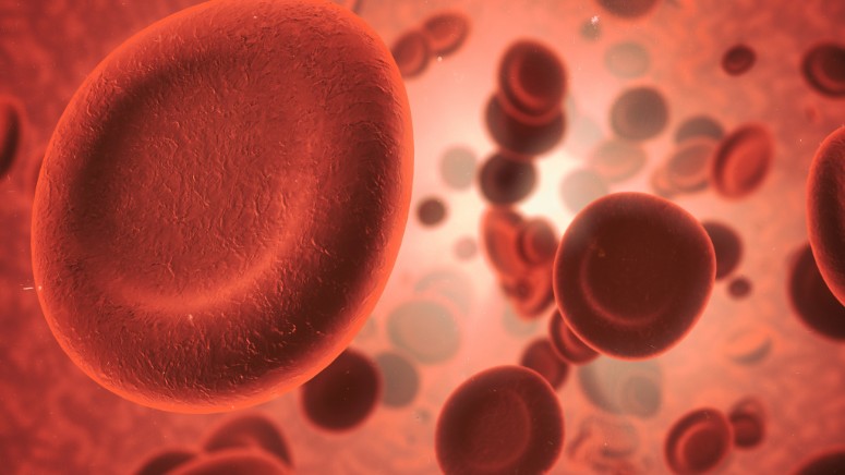 Texto alternativo da foto em destaque: anemia falciforme aposentadoria Título da foto em destaque: anemia falciforme aposentadoria Legenda: Ilustração de células sanguíneas em destaque, relacionada ao tema da anemia falciforme e seus impactos na aposentadoria. Descrição: Representação de glóbulos vermelhos no sangue, ilustrando o contexto da anemia falciforme e aposentadoria.