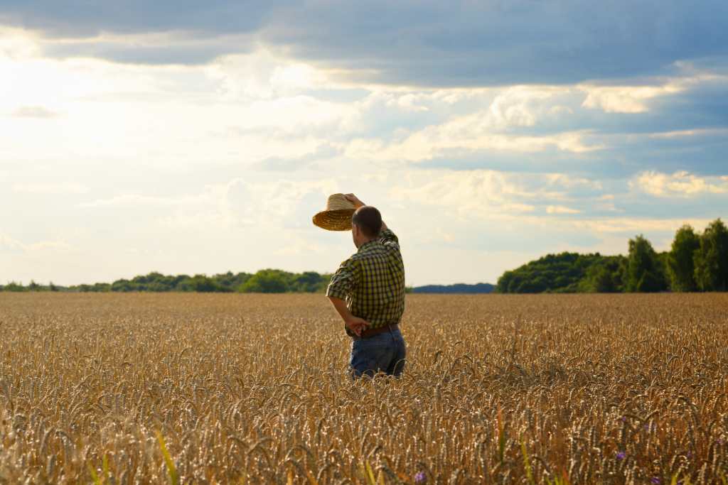 aposentadoria agricultor